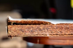 00d85674-ec44-4271-bf8d-797b8d70a8f5