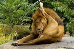 f1076432-898f-4d3f-a13d-b075c23f7bd2