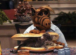 8c8cb5e5-6e95-4b22-a074-a72896b18420