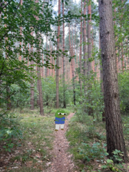 c2e9b114-1b47-4fa9-927e-f3e3651534e8