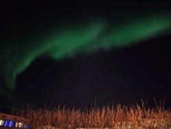 152343b1-6ed8-4f9e-8587-4243c3044cd2