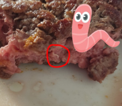 cdaa45f8-8ae8-468d-9acc-47f4148d5964