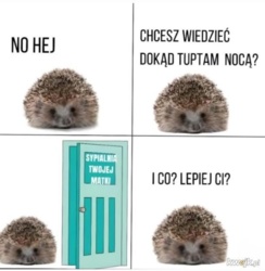 6a38e82c-45c0-4412-8d7b-2d3958ebae8e