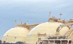 c2a5e117-a368-4b5e-bc16-c8b25161a136