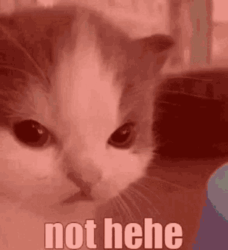 8854e8b9-0372-4a30-916c-6b4a85448877