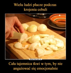 afca9168-4bc8-4e3f-810d-6224211b6287