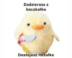 b0eb4265-9d4b-4413-bb29-42bd29a24de6