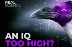 3ee6e9f2-63d4-4f70-89a9-2cb1db31851c