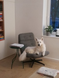 580bef52-fe85-49fe-82b8-e4e60f32eeb5