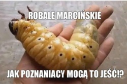 55c57ea2-7611-488f-99e8-ce58c40c14a2