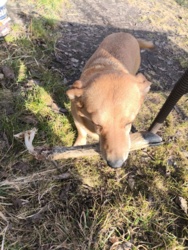 fa325011-332b-4755-bc18-3549dba34bfd