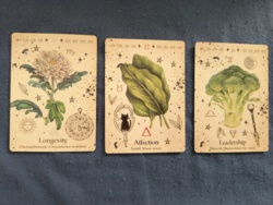 cca3421d-f4e0-4fa2-8b2f-78327c791a5b