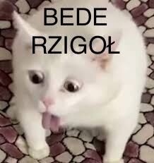 48ffc96c-18df-4f01-9fdd-f5303fed8a41