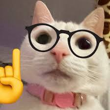 a659378a-f550-472a-83a6-2dd11ea9e23e