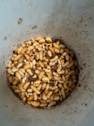 811f696c-c567-4960-a6e9-a199c65e8915