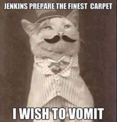 1479f78b-7535-41b0-b8e0-39d8156ab9ba